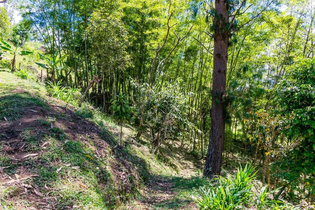 FINCA COCUYAL...todo un pesebre VIVO! Rionegro Сasa de vacaciones