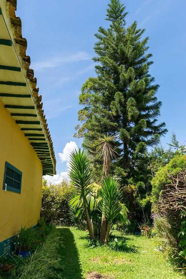 FINCA COCUYAL...todo un pesebre VIVO! Rionegro
