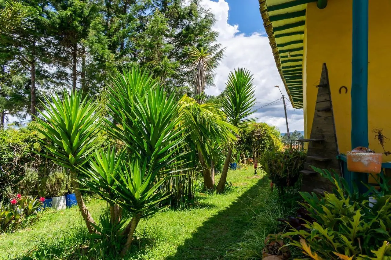 FINCA COCUYAL...todo un pesebre VIVO! Rionegro